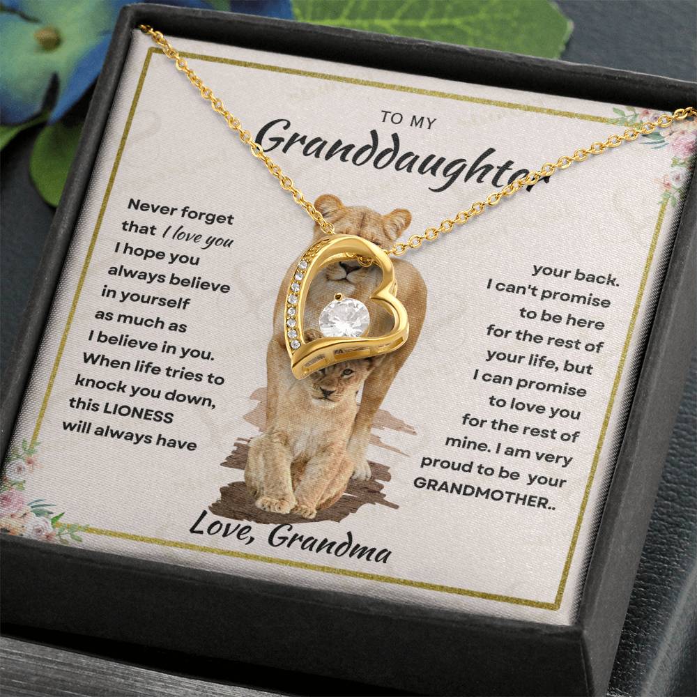 Granddaughter - Proud Grandma - Forever Love Necklace